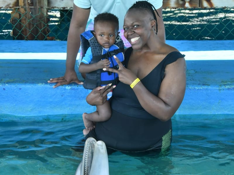 Dolphin Encounter, Caribbean